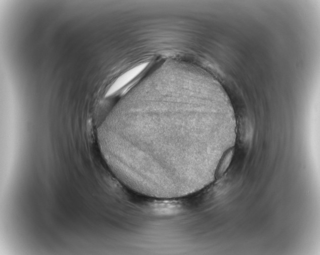 X0000084540378200703161632