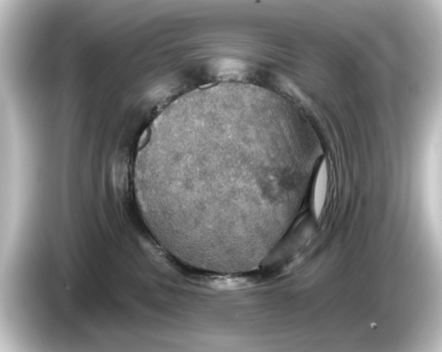 X0000084540379200703161632