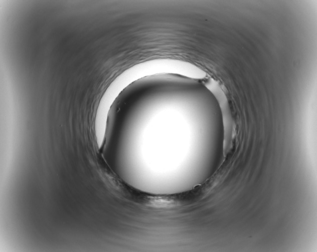 X0000084540380200703161633