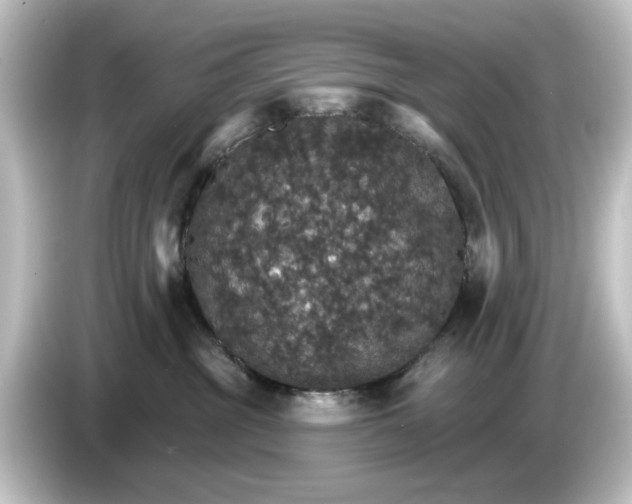 X0000084540381200703161633