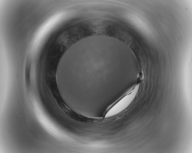 X0000084540383200703161633