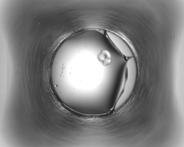 X0000084540385200703161632