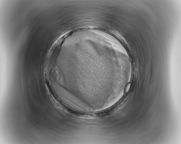 X0000084540386200703161632