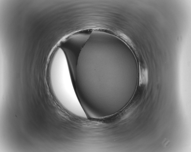 X0000084540387200703161632