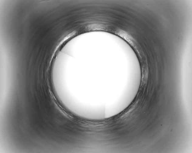 X0000084540390200703161632