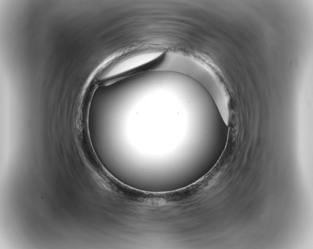 X0000084540392200703161632