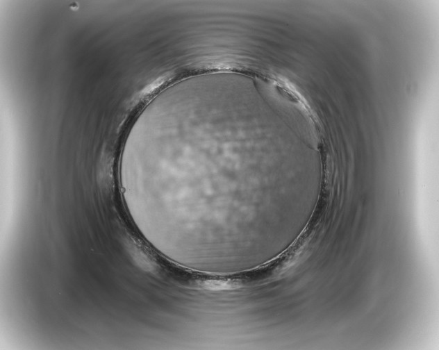 X0000084540394200703161632