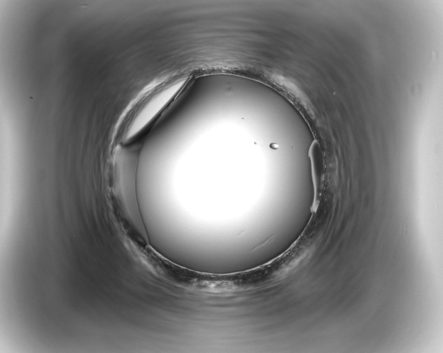 X0000084540395200703161632