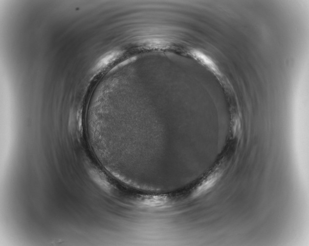 X0000084540398200703161632