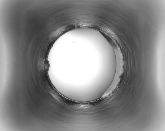 X0000084540401200703161632