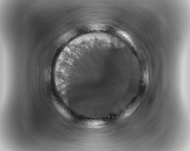 X0000084540402200703161632