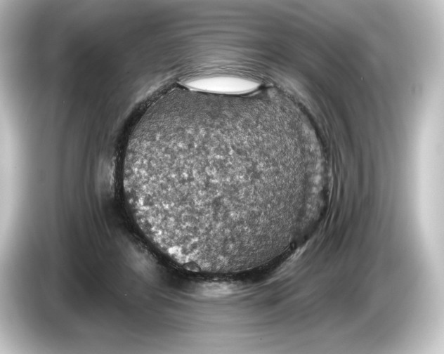 X0000084540404200703161632