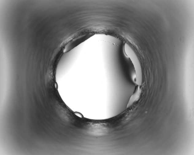 X0000084540407200703161632