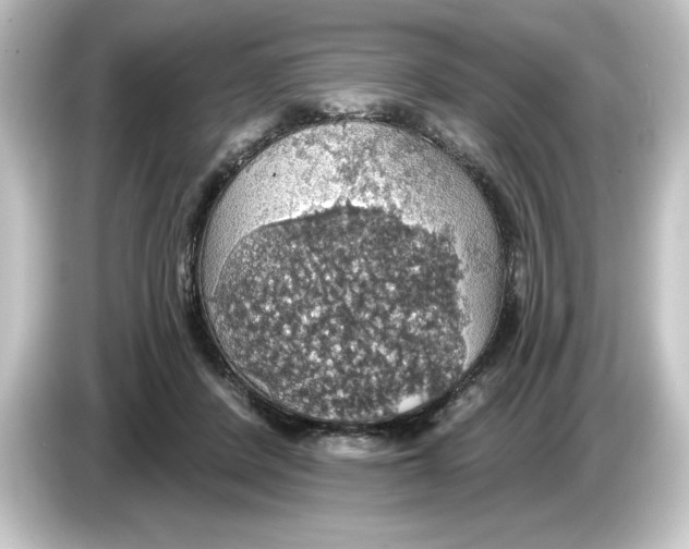 X0000084540408200703161632