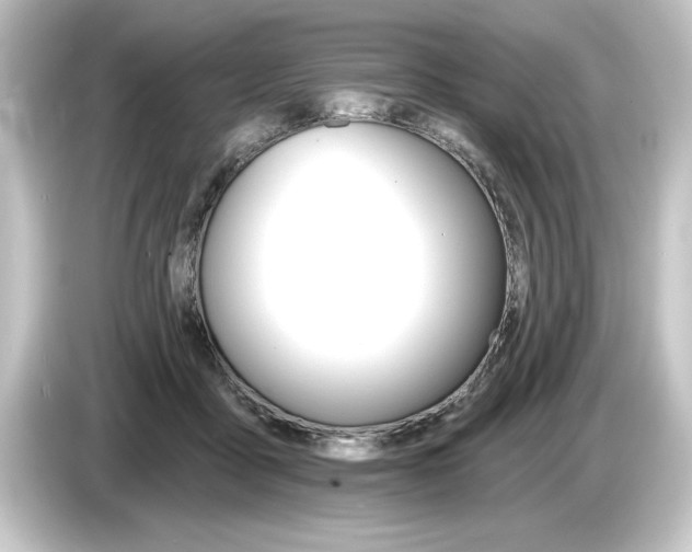 X0000084540411200703161632