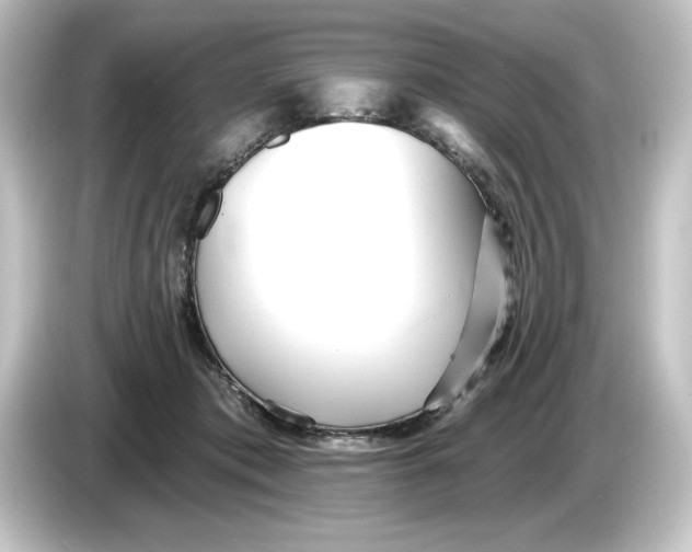 X0000084540413200703161632