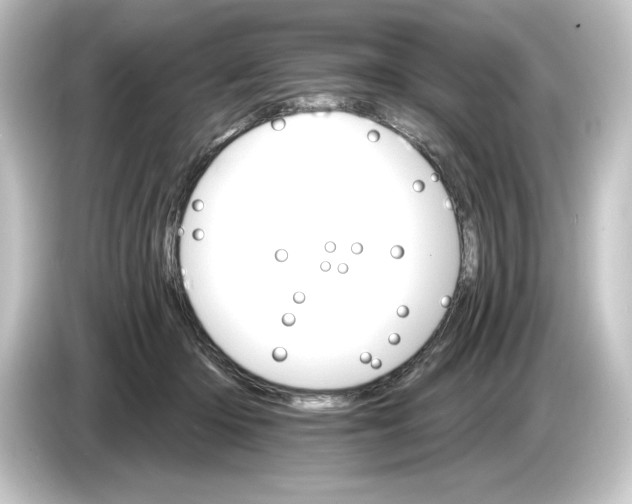 X0000084540414200703161632