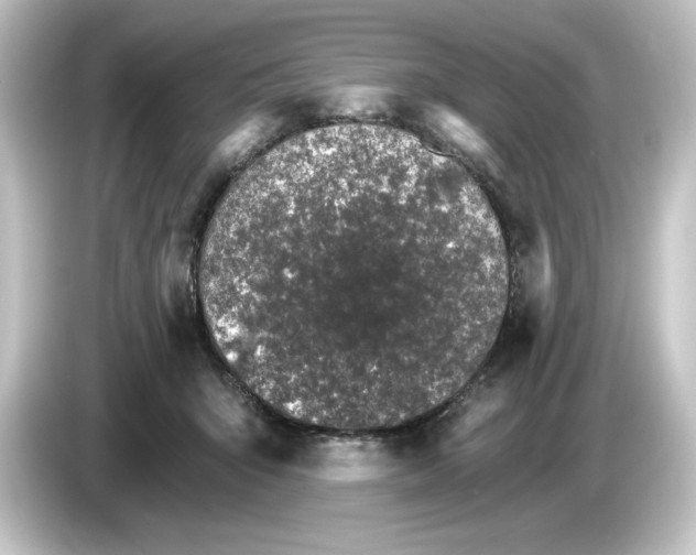 X0000084540415200703161632