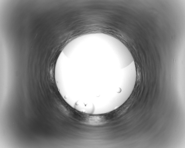 X0000084540418200703161632