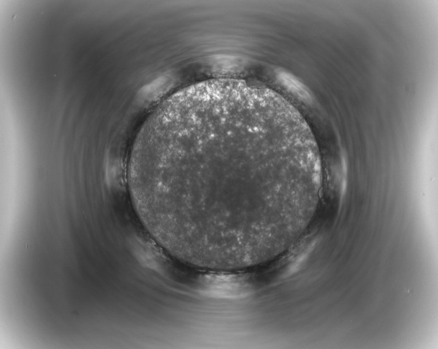 X0000084540419200703161632