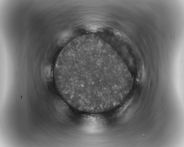 X0000084540420200703161632