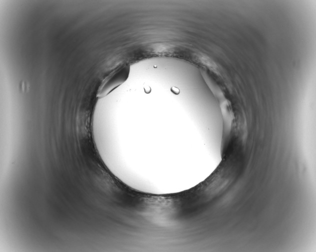 X0000084540421200703161632