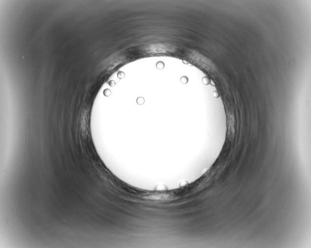 X0000084540422200703161632