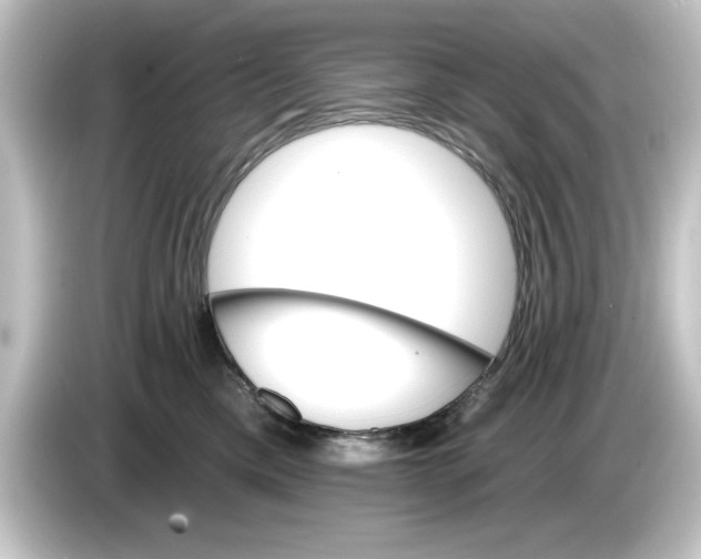 X0000084540425200703161631