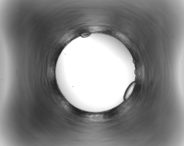 X0000084540426200703161631