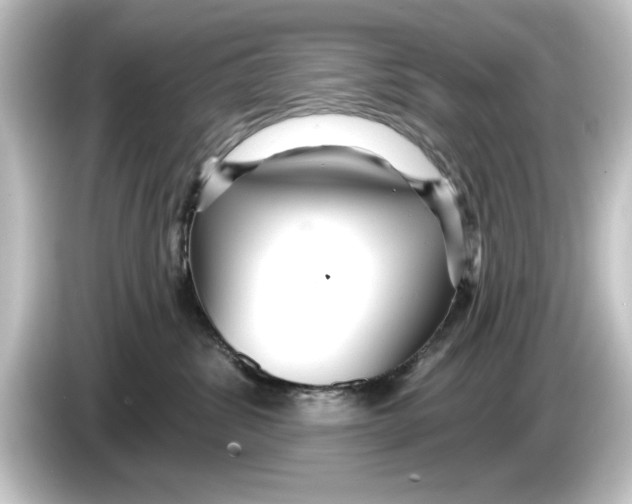 X0000084540428200703161631