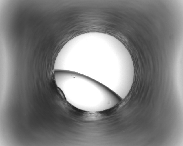 X0000084540429200703161631