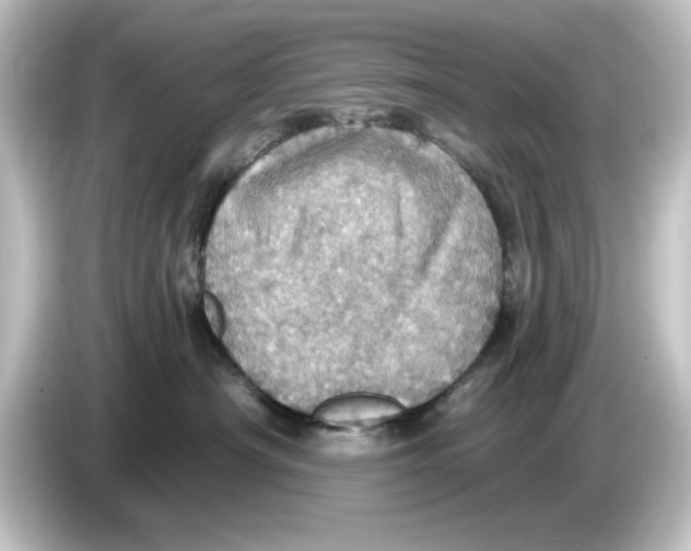 X0000084540430200703161631