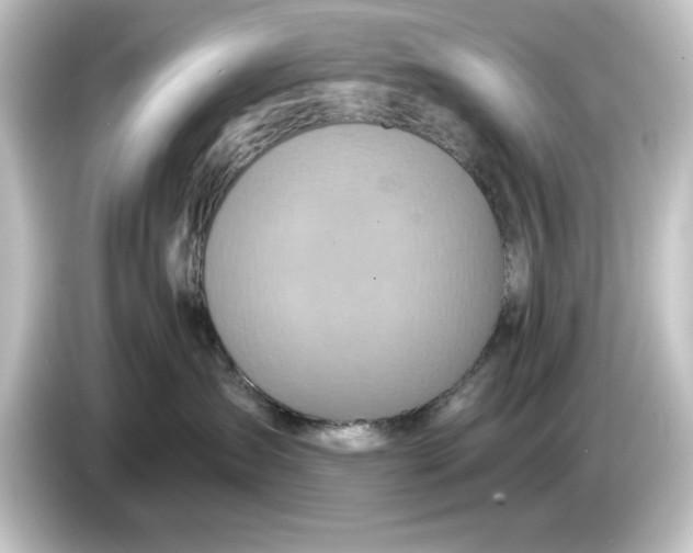 X0000084540431200703161631