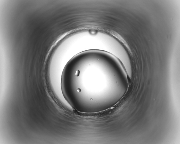 X0000084540436200703161631