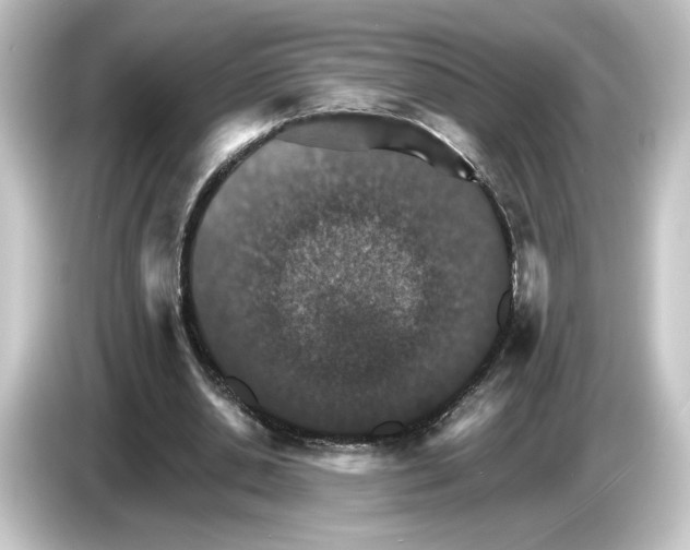 X0000084540438200703161631