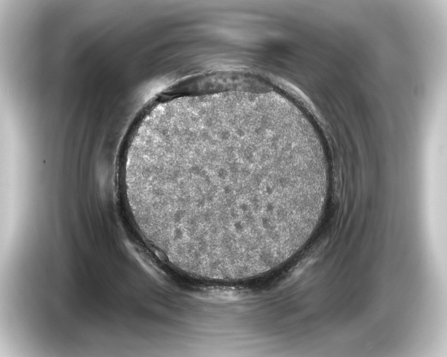 X0000084540439200703161631