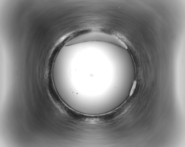 X0000084540440200703161631