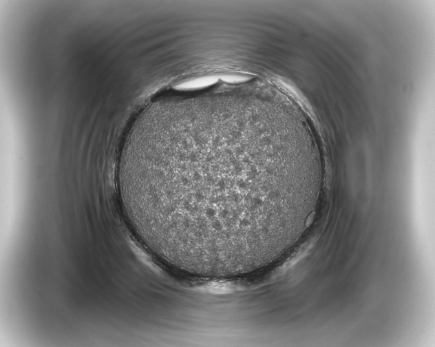 X0000084540441200703161631