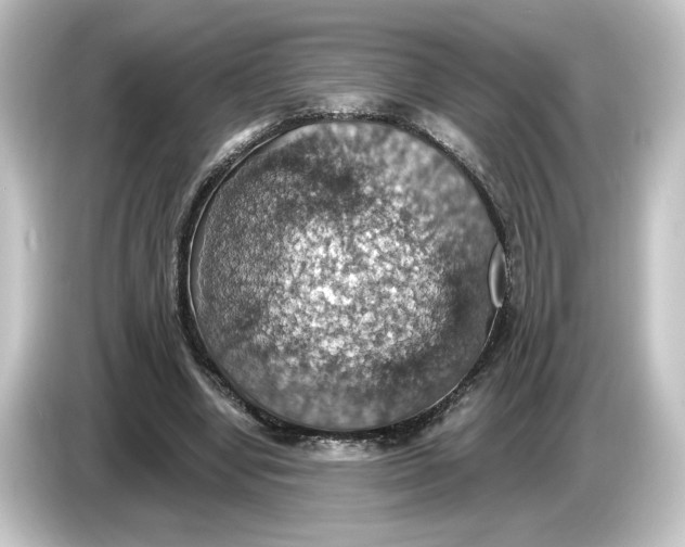 X0000084540442200703161631