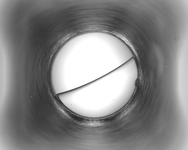 X0000084540445200703161631