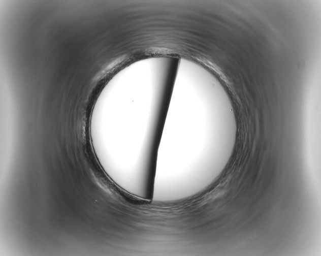 X0000084540446200703161631