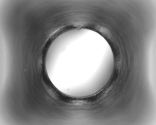 X0000084540448200703161631