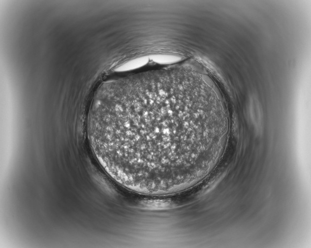 X0000084540449200703161631