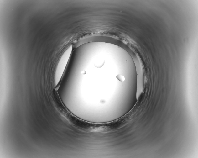 X0000084540452200703161631