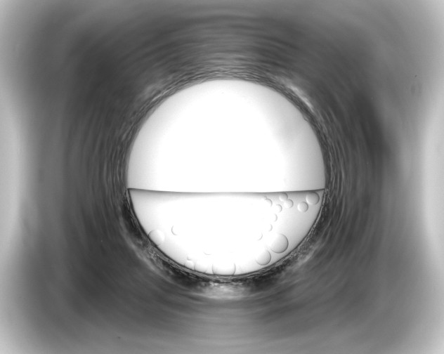 X0000084540455200703161631