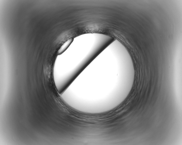 X0000084540458200703161631