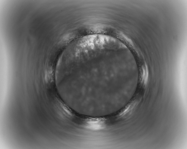 X0000084540465200703161631