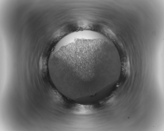 X0000084540466200703161631