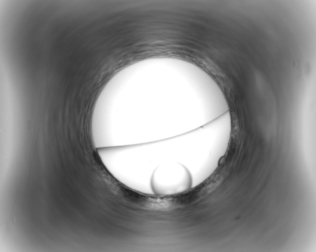 X0000084540469200703161631