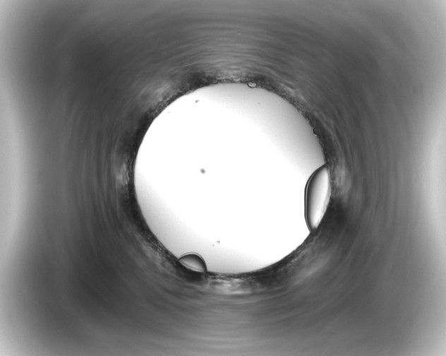 X0000084540472200703161631